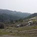 Buhovo