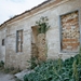 Kavarna (3)